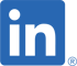 LinkedIn logo link to Italmente LinkedIn page